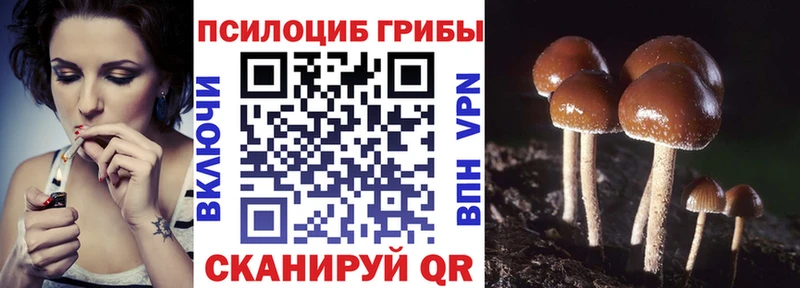 Галлюциногенные грибы GOLDEN TEACHER  Алзамай 